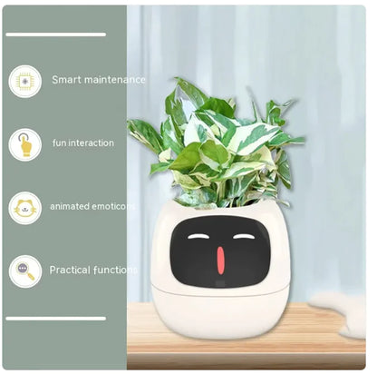 Smart Grow Planter with AI Expressions