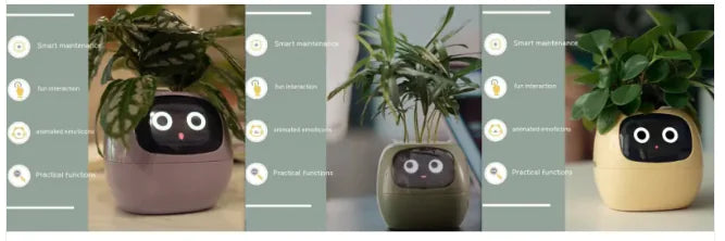 Smart Grow Planter with AI Expressions