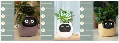 Smart Grow Planter with AI Expressions