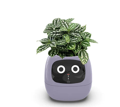 Smart Grow Planter with AI Expressions