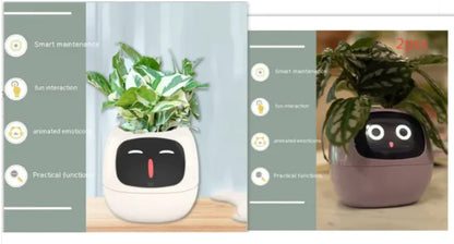 Smart Grow Planter with AI Expressions