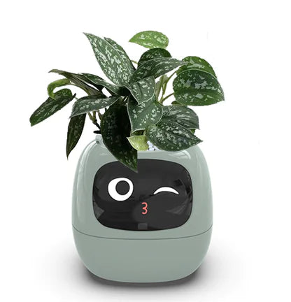 Smart Grow Planter with AI Expressions