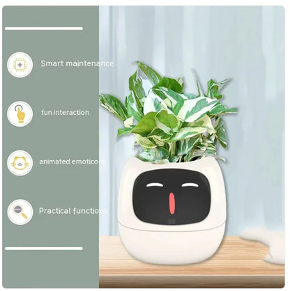 Smart Grow Planter with AI Expressions